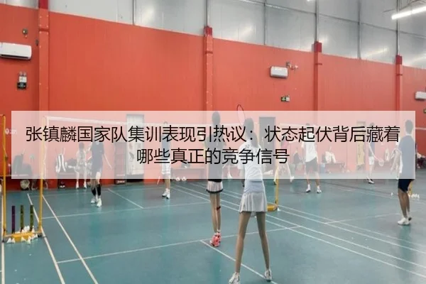张镇麟国家队集训表现引热议：状态起伏背后藏着哪些真正的竞争信号